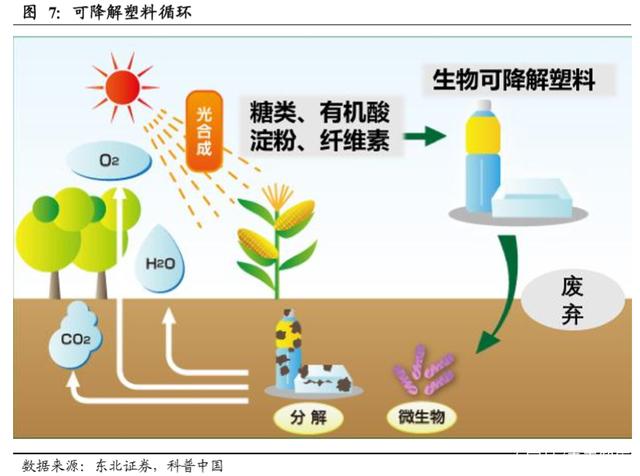 从限塑到禁塑 可降解塑料迎黄金发展期，生态环境材料站上风口